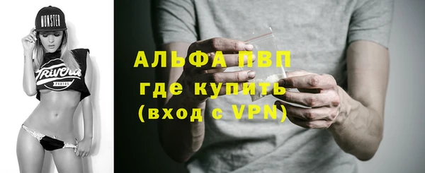 PSILOCYBIN Бугульма