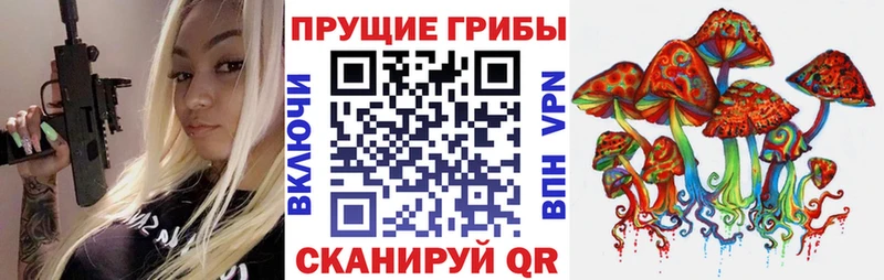 Псилоцибиновые грибы Magic Shrooms  купить   Болотное 